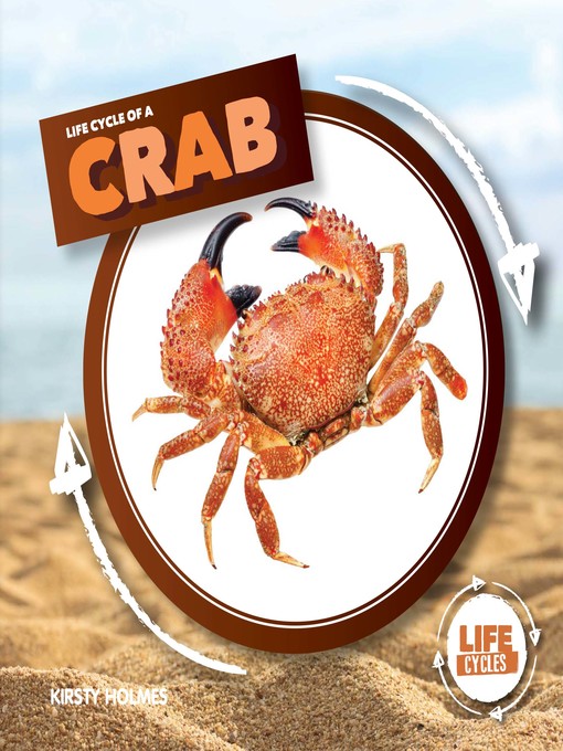 Title details for Life Cycle of a Crab by Kirsty Holmes - Available